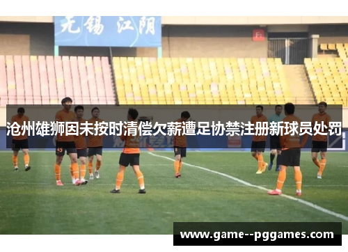 沧州雄狮因未按时清偿欠薪遭足协禁注册新球员处罚